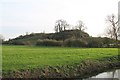 ST5043 : Fenny Castle Motte and Bailey by Sharon Loxton