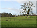 Grazing Land near Larden Hall, Shropshire