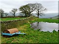 On Trewern Hill