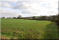 Farmland just outside Okeford Fitzpaine