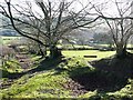 Bridleway off Cefn Gledwen