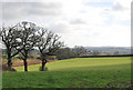 Farmland next to Stalbridge Lane