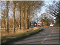 Tree-lined road, Hemingstone