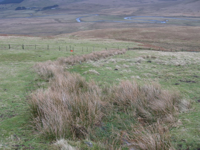 Hillside towards Daer Water