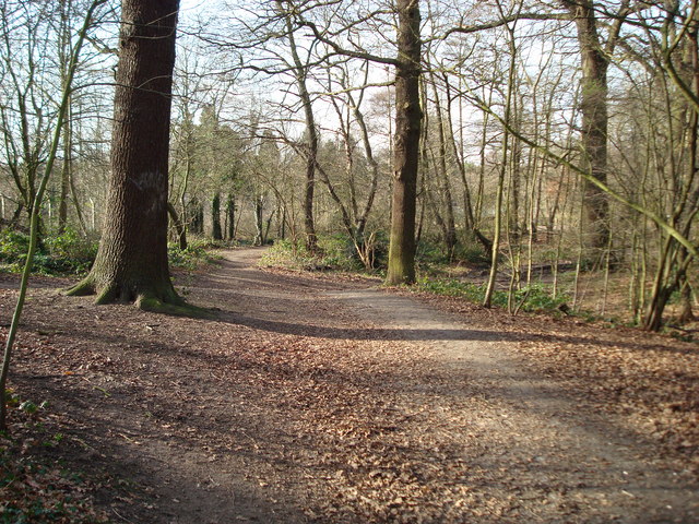 Petts Wood © Stacey Harris :: Geograph Britain and Ireland