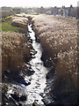 Barton Haven - Upstream from the Foot Bridge