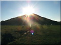 Sun worshipping sheep below Moelypenmaen