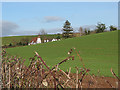 Country cottages near Oxenhall