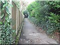 SZ0791 : Bournemouth: higher footpath to Branksome Wood Road by Chris Downer