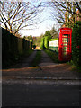 Telephone Box, Littlington