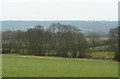 Countryside east of Witham Friary