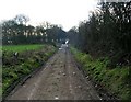 Footpath - off Westerton Road