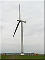 SU2491 : Wind turbine,Westmill Farm, Watchfield 29th January 2008 by Brian Robert Marshall