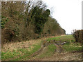 Farmtrack beside Long Plantation