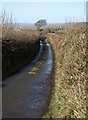 Lane to Fishleigh Bridge