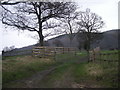 Footpath to Earl