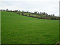 Drumhillery Townland