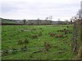 Sheetrim Townland