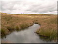 Remains of Greenfold Reservoir above Crawshawbooth