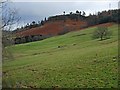 Pastureland on the northern slopes of Barr Dubh