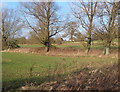 Fields and trees not far from Gosbeck church