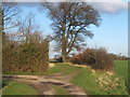 Path near Crowfield Hall