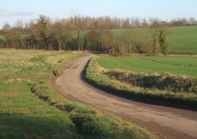 Looking along Spring Lane, near Crowfield