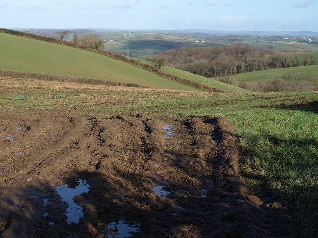Field near Wanhill