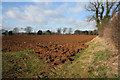 Farmland by Belvoir Road