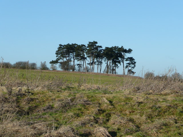 View west of Upper Copcourt Farm