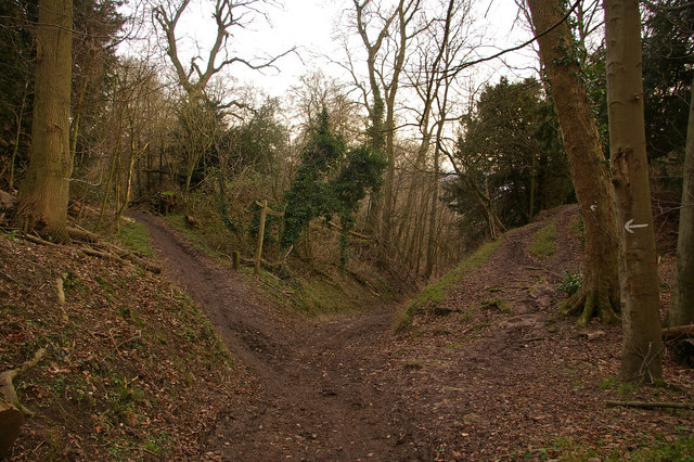 Junction of paths