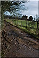 Track near Calcothill Farm