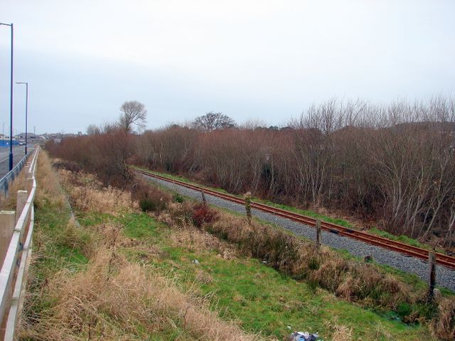 Vale of Rheidol railway track