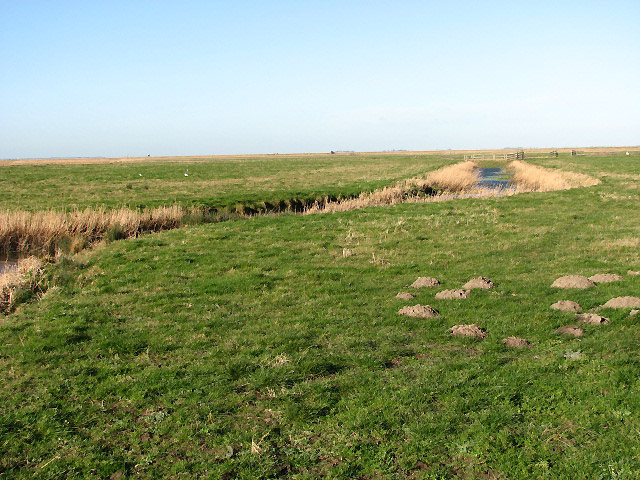View towards Fisher's Marshes