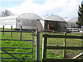 Plant nursery, Southend Lane