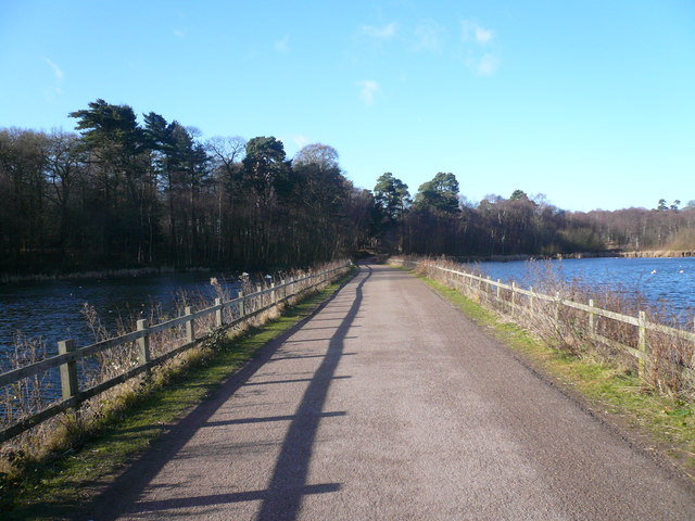 Clumber Park - Lake Crossed by Road