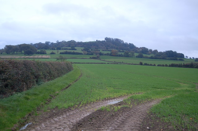 Meon Hill from Upper Quinton