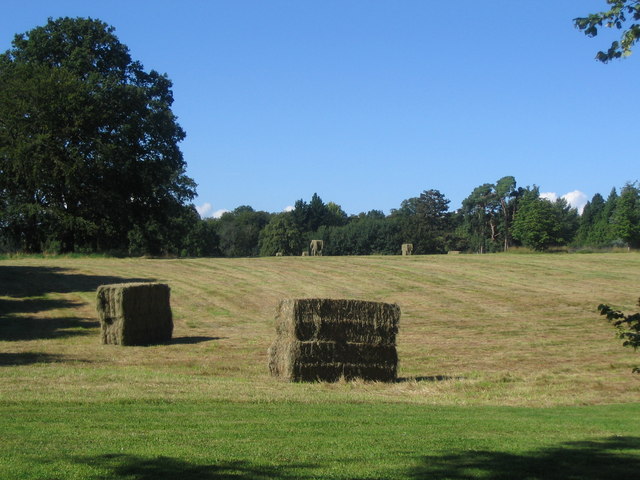 Harvest on the meadow at Wyfold Court Estate