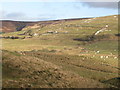 Towards Tedham and Sipton Cleugh