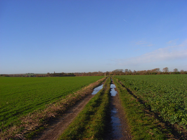 Farm track, Blewbury