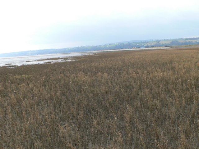 Point of Ayr Nature Reserve