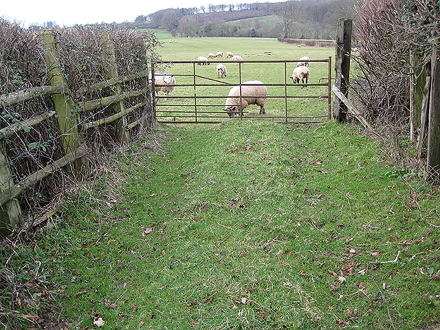 Grazing land near Acorn Wood
