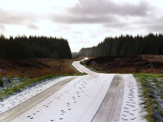 The road through Mindork Forest