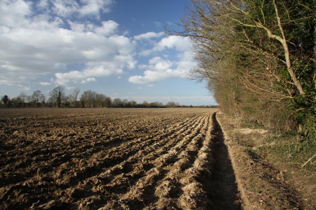 Farmland near Anglesey Abbey