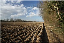 TL5262 : Farmland near Anglesey Abbey by Bob Jones