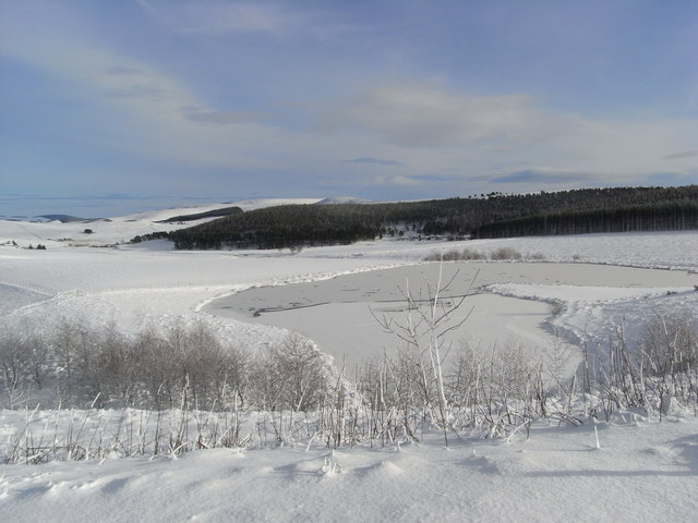 Frozen fishing pond at Ardgeith