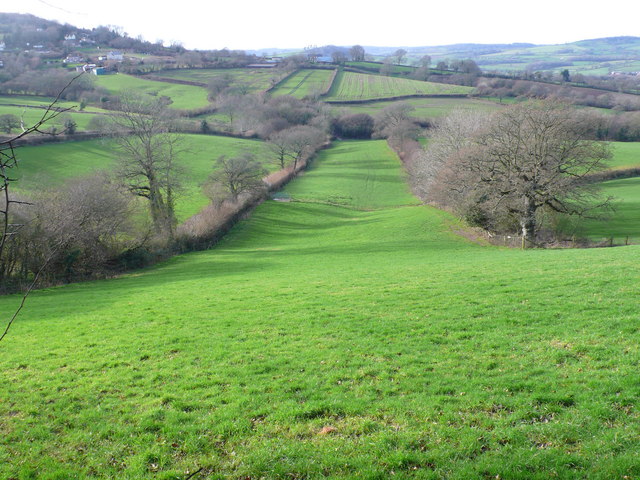 Ryall Bottom looking West from Monarch's Way