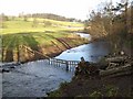 The River Wansbeck at Wallington