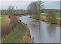 Ashby Canal from Dadlington Wharf Bridge