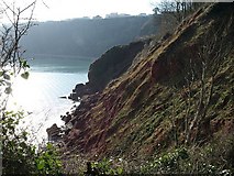 SX9266 : Cliffs at Little Oddicombe Beach by Derek Harper